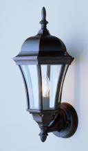  4502 SWI - Burlington 1-Light Armed Metal and Glass Outdoor Wall Lantern